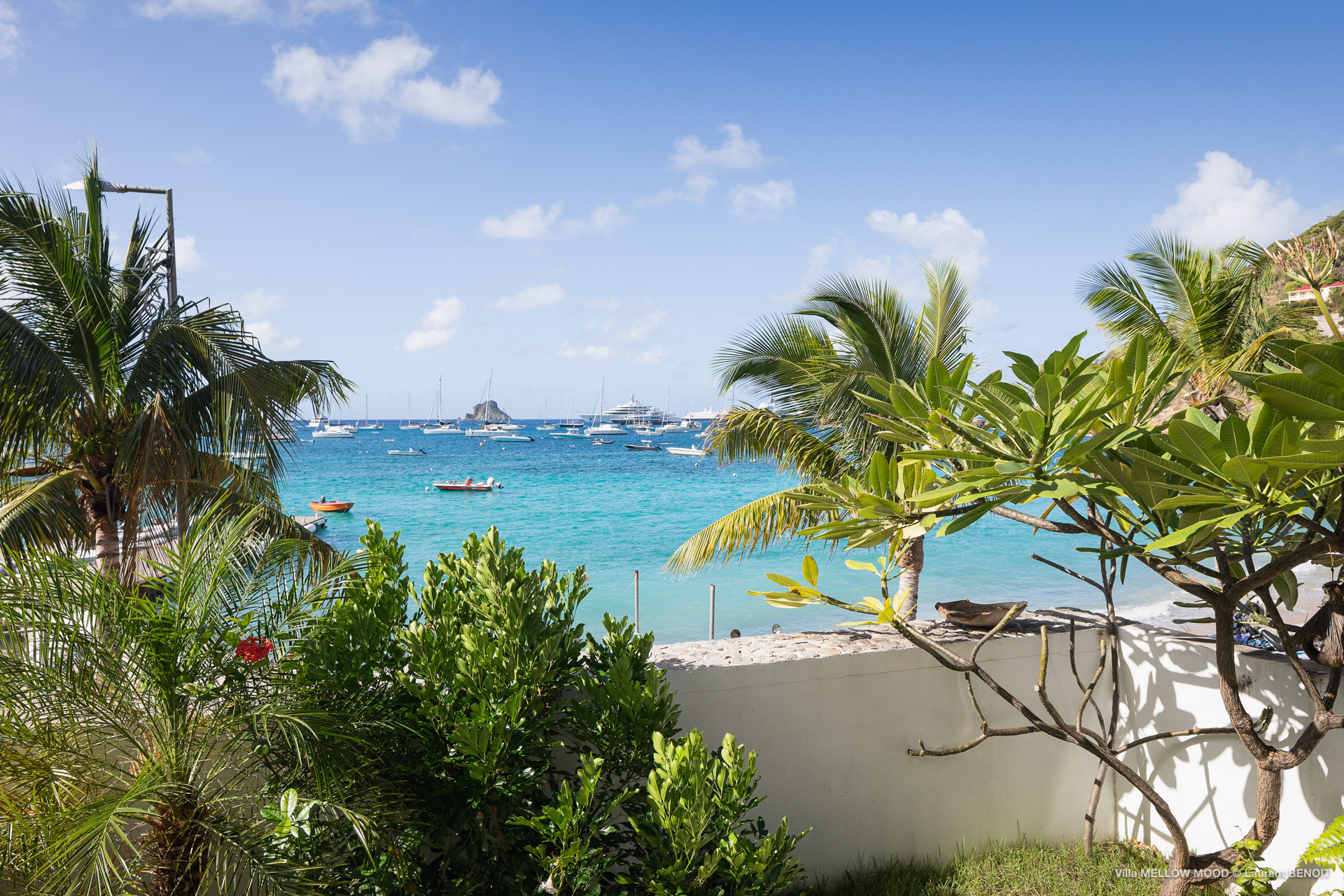 Palm tree and ocean view from the terrace