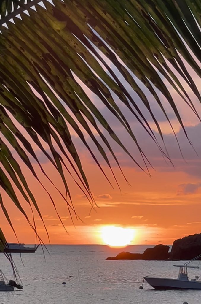 Sunset with palm silhouette at Corossol beach