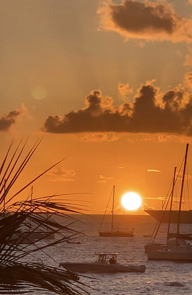 Golden sunset with palm silhouette in Saint-Barth